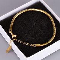 Simple Round Wide Snake Bone Chain Titanium Steel Bracelet Wholesale main image 4