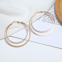 Simple Fashion Double-layer Circle Alloy Earrings main image 3