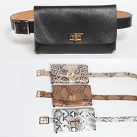 Snake Pattern Women's Belt Waist Bag Thin Belt Waist Bag Belt Mobile Phone Foreign Trade Simple Rotating Buckle Coin Purse main image 1