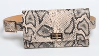 Snake Pattern Women's Belt Waist Bag Thin Belt Waist Bag Belt Mobile Phone Foreign Trade Simple Rotating Buckle Coin Purse main image 4