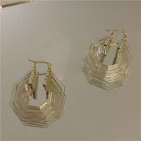 Vente En Gros Bijoux Mode Boucles D&#39;oreilles Matrice Hexagonale Nihaojewelry sku image 2