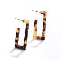 Retro Creative Exaggerated Pendant Earrings Wholesale sku image 5