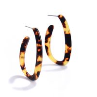 Retro Creative Exaggerated Pendant Earrings Wholesale sku image 8