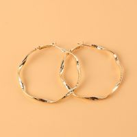 Retro Alloy Geometric Irregular Earrings main image 5