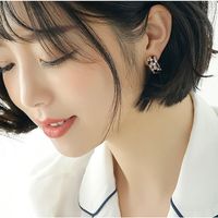 Boucles D'oreilles En Cristal De Diamant À Motif Léopard De Mode Coréenne main image 4
