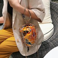 Korean Birdcage Shape Chain Shoulder Messenger Bag main image 1