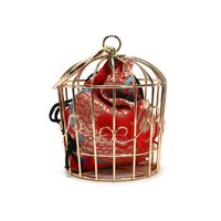 Korean Birdcage Shape Chain Shoulder Messenger Bag main image 6
