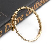Fashion Adjustable Golden Micro-inlaid Zircon Bracelet main image 3