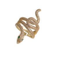 Modefarbener, Verstellbarer Ring Mit Zirkonia-schlangenöffnung sku image 5