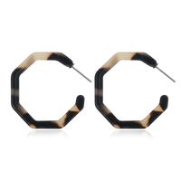 Exaggerated Acetate Plate Creative Geometric Leopard Print Earrings sku image 7