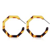 Exaggerated Acetate Plate Creative Geometric Leopard Print Earrings sku image 6