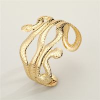 Punk Alloy Snake-shaped Multi-layer Open Wide Bracelet main image 5