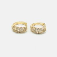 Fashion Gold-plated Color Zircon Earrings Wholesale main image 3