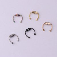 Nose Rings & Studs Fashion Geometric 316 Stainless Steel  Plating main image 5