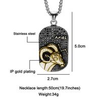 Nihaojewelry Jewelry Wholesale Stainless Stesel Ancient Greek Twelve Constellation Pendant Necklace sku image 13