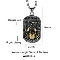 Nihaojewelry Bijoux En Gros En Acier Inoxydable Ancien Grec Douze Constellation Pendentif Collier sku image 4