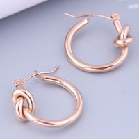 Nihaojewelry Wholesale Jewelry Fashion Simple Knotted Titanium Steel Ear Buckle main image 3
