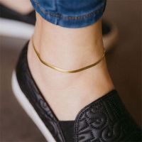 Wholesale Jewelry Simple Snake Bone Chain Stainless Steel Anklet Nihaojewelry main image 5