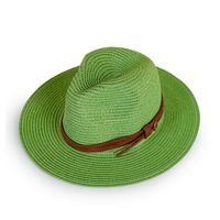 Vente En Gros Simple Chapeau De Paille Jazz Crème Solaire À Large Bord Nihaojewelry sku image 5