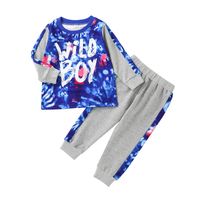 Wholesale Children's Round Neck Top Trousers 2-piece Suit Nihaojewelry sku image 5