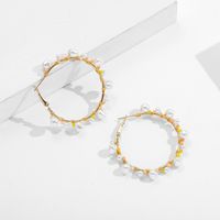 Vente En Gros Bijoux Boucles D&#39;oreilles Rondes En Perles De Riz Avec Perles Nihaojewelry main image 3