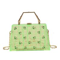 Wholesale Transparent Acrylic Printing Messenger Bag Nihaojewelry main image 3