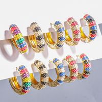 Wholesale Jewelry Geometric Stripe Pattern Multicolor Copper Earrings Nihaojewelry main image 6