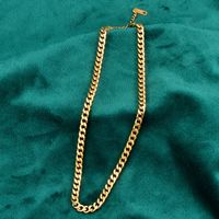 Wholesale Jewelry Thick Chain Titanium Steel Necklace Nihaojewelry main image 6