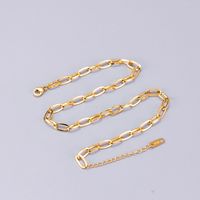 Wholesale Jewelry Thick Flat Chain Titanium Steel Necklace Nihaojewelry main image 4