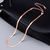 Wholesale Jewelry Simple Snake Chain Titanium Steel Necklace Nihaojewelry main image 6