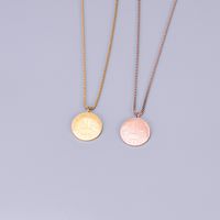 Wholesale Jewelry Peace Coin Wheat Pendant Titanium Steel Necklace Nihaojewelry main image 5