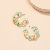 Wholesale Jewelry Retro Dried Flower Resin Earrings Nihaojewelry main image 3