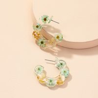 Wholesale Jewelry Retro Dried Flower Resin Earrings Nihaojewelry main image 4