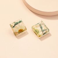 Wholesale Jewelry Retro Dried Flower Geometric Resin Earrings Nihaojewelry main image 1