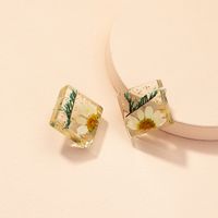 Vente En Gros Bijoux Boucles D&#39;oreilles En Résine Géométrique Fleurs Séchées Rétro Nihaojewelry main image 4