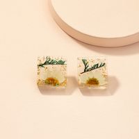 Wholesale Jewelry Retro Dried Flower Geometric Resin Earrings Nihaojewelry sku image 1