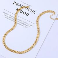 Wholesale Jewelry Cuban Chain Stainless Steel Clavicle Chain Necklace Nihaojewelry sku image 2