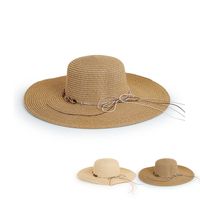 Commerce De Gros Big Eaves Parasol Mode Chapeau De Paille Nihaojewelry main image 1