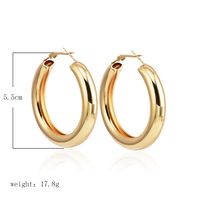 Wholesale Jewelry Thick Round Metal Earrings Nihaojewelry main image 4