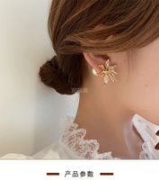 Vente En Gros Bijoux Boucles D&#39;oreilles En Perles De Fleurs Brillantes Nihaojewelry main image 5