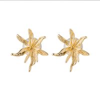 Wholesale Jewelry Glossy Flower Pearl Stud Earrings Nihaojewelry main image 6