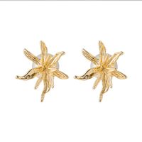 Vente En Gros Bijoux Boucles D&#39;oreilles En Perles De Fleurs Brillantes Nihaojewelry sku image 1