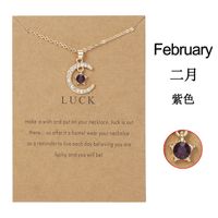 Wholesale Jewelry Birthstone Month Star Pendant Necklace Nihaojewelry sku image 2