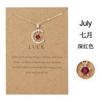 Wholesale Jewelry Birthstone Month Star Pendant Necklace Nihaojewelry sku image 7