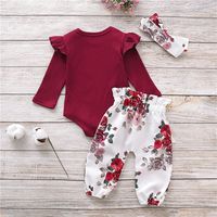 Wholesale Children's Floral Long-sleeved Romper Foot-climbing Suit Nihaojewelry main image 3
