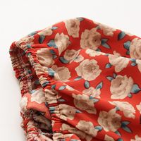 Wholesale V-neck Short-sleeved Floral Chiffon Shirt Nihaojewelry main image 8