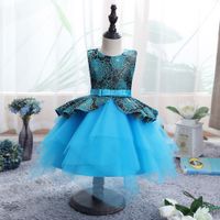 Vente En Gros Robe De Gaze En Filet Gonflé À Fleurs Pour Enfants Nihaojewelry sku image 13