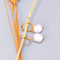Vente En Gros Bijoux Boucles D&#39;oreilles En Acier Titane Rondes Géométriques En Perles Nihaojewelry main image 5