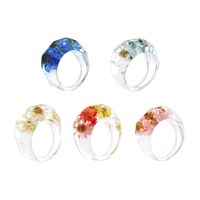 Wholesale Simple Transparent Resin Flower Ring 5-piece Set Nihaojewelry sku image 1