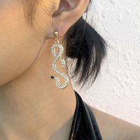 Wholesale Jewelry Simple Hollow Snake-shaped Earrings Nihaojewelry main image 3